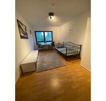 Renovierte und möblierte 25m² Wohnung nähe TU Kaiserslautern