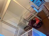 Foto - Etagenwohnung zur Miete in Halle (Saale)