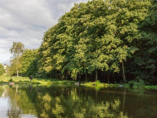 Foto - Grundst&uuml;ck in Langenhahn