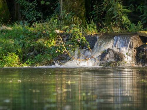 Foto - Grundst&uuml;ck in Langenhahn zur Miete