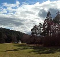 FAST-ALLEINLAGE im GRÜNEN, EFH m. Nebengebäude,1200qm Grundstück - Amberg