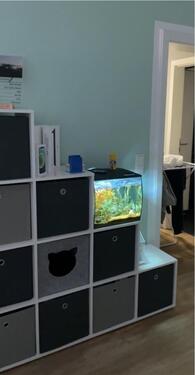 Foto - Etagenwohnung in Greifswald zur Miete