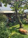 Foto - 7 Zimmer Reihenhaus zum Kaufen in Ulm