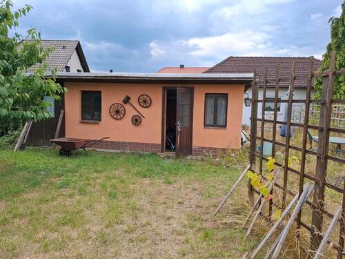 Foto - Kleingarten ist wieder zu haben