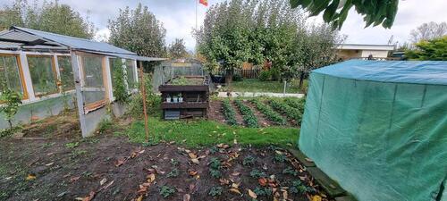 Foto - Grundstück in Bad Doberan