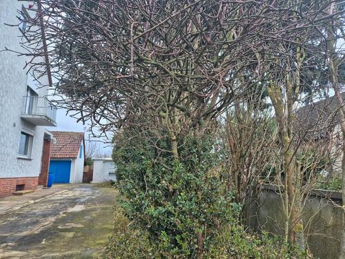 Foto - Einfamilienhaus in Schöningen