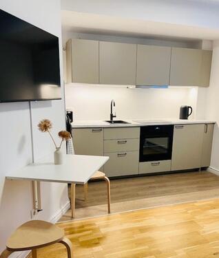Foto - 2 Zimmer Apartment Wohnung Voll möbliert NEU renoviert neue EBK