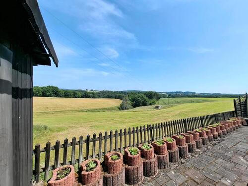 Foto - Einfamilienhaus in Asbach zum Kaufen