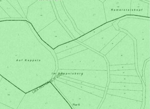 Foto - Waldgrundstück (alter Baumbestand) - gute Zuwege - Burgbrohl