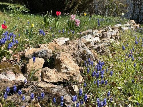 Foto - 8 Zimmer Einfamilienhaus in Egloffstein