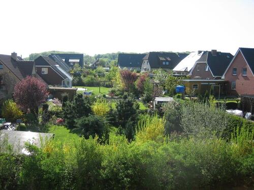 Foto - 2-Raumwohnung zu vermieten - 397,00 EUR Kaltmiete,