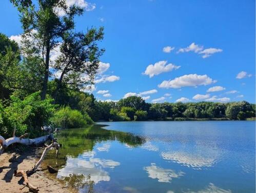 Foto - Bright Furnished Studio in Quiet Green Area – Berlin