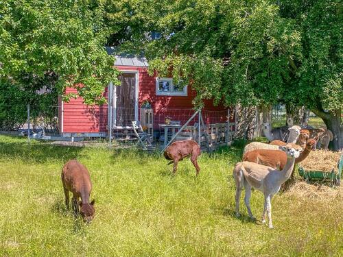 Foto - Tiny-House ♥ Ferienhaus auf dem Bauernhof ♥ Familienurlaub