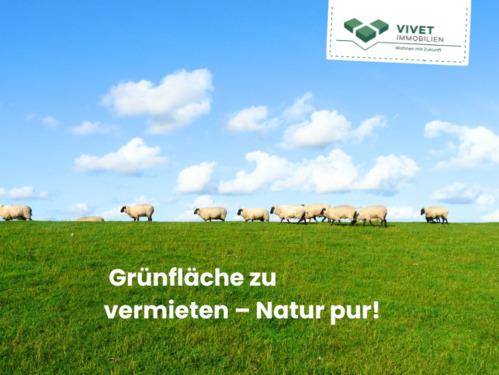 Foto - Grünfläche zu vermieten! - 100,00 EUR Kaltmiete, ca.  0,00 m²