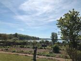 Foto - Garten in Neukloster am See Pachtland