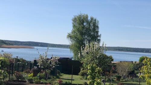 Foto - Grundstück in Satow