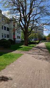 Foto - 3 Zimmer Erdgeschoßwohnung zum Kaufen in Isernhagen