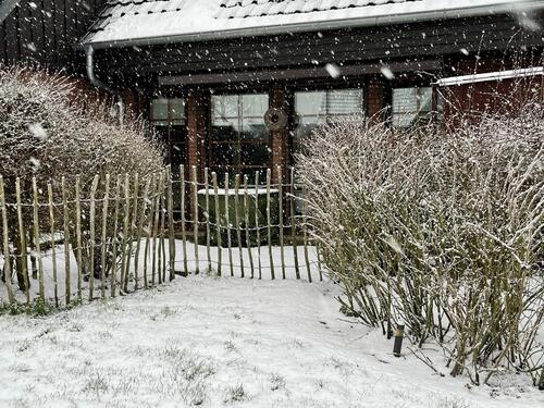 Foto - Ferienwohnung Leuchtturmliebe Friedrichskoog - Spitze