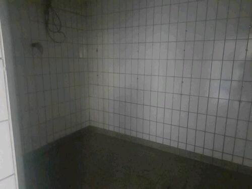 Foto - andere in Klostermansfeld