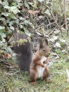 Foto - Einfamilienhaus in Olfen zum Kaufen