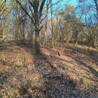 Foto - Grundst&uuml;ck zur Miete in Gevenich