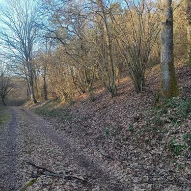 Foto - Grundst&uuml;ck in Gevenich