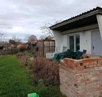 Kleingarten in super Zustand abzugeben - Bad Dürrenberg