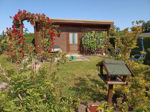 Foto - Grundst&uuml;ck in Zwickau