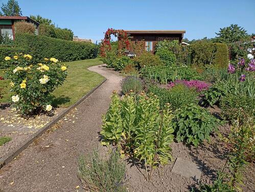 Foto - Grundst&uuml;ck in Zwickau zur Miete