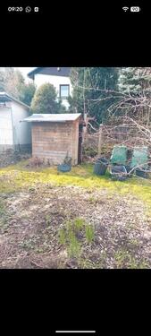 Foto - Gartengrundstück Aue - 5.000,00&nbsp;EUR Kaltmiete, ca.&nbsp; 0,00&nbsp;m&sup2;