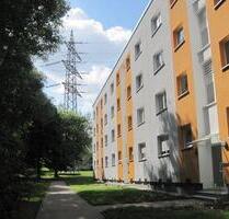 Renovierte 3-Zimmer-Wohnung mit Balkon in grüner Lage! - Essen Stadtbezirk VI