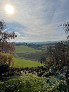 Foto - 2-Zimmer-Garten-Wohnung - 1.000,00 EUR Kaltmiete,