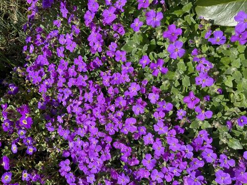 Foto - DDH KreuzauOrtsteil, von 1950, - 200.000,00&nbsp;EUR Kaufpreis, ca.&nbsp; 95,00&nbsp;m&sup2;