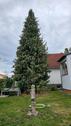Foto - Einfamilienhaus zum Kaufen in Schöningen