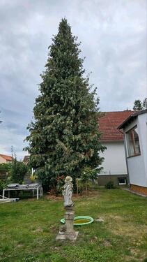 Foto - Einfamilienhaus zum Kaufen in Schöningen