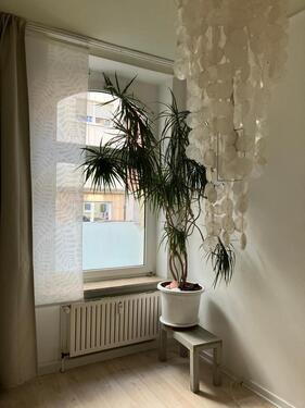 Foto - Erdgeschoßwohnung in Düsseldorf zur Miete