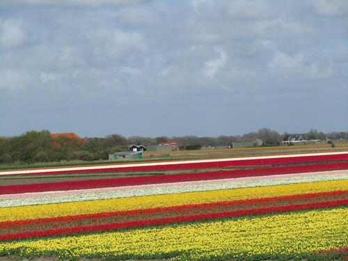 Foto - Ferienhaus am Meer, Hund, Sauna,Kamin,Wlan