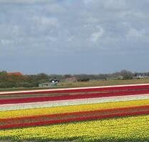 Ferienhaus am Meer, Hund, Sauna,Kamin,Wlan - Wuppertal Gemarkung Ronsdorf