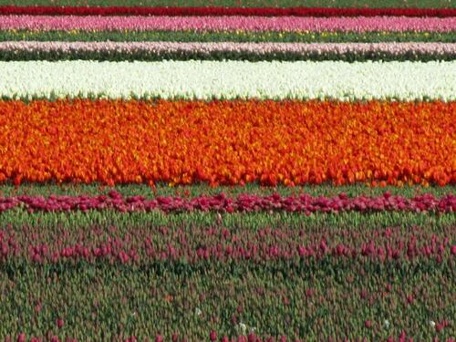 Foto - andere zur Miete in Wuppertal