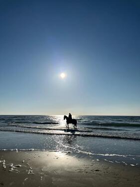 Foto - andere in Wuppertal