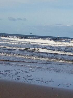 Foto - andere in Wuppertal zur Miete