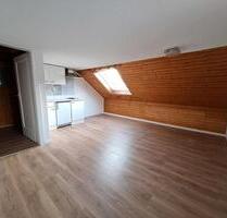 Frisch renovierte kompakte 1-Zimmerwohnung in Tennenbronn - Schramberg