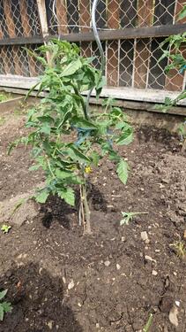 Foto - Zweifamilienhaus in Dollnstein - 400.000,00&nbsp;EUR Kaufpreis, ca.&nbsp; 130,00&nbsp;m&sup2;