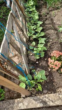 Foto - 7 Zimmer Mehrfamilienhaus, Wohnhaus in Dollnstein