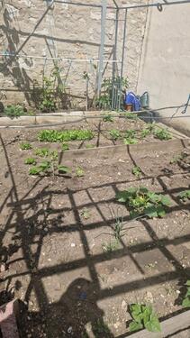 Foto - Mehrfamilienhaus, Wohnhaus in Dollnstein zum Kaufen