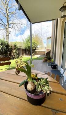 Foto - Moderne 2-Zimmer EG-Wohnung mit Garten & Garage in TopLage