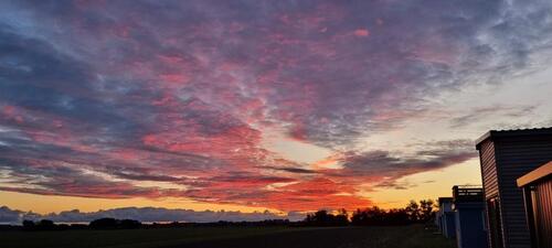 Foto - andere in Steinhagen