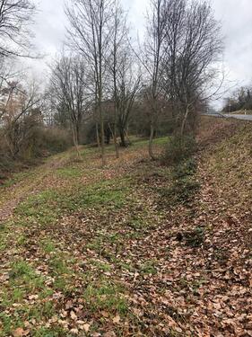 Foto - Grundstück Groß Umstadt - 500,00&nbsp;EUR Kaltmiete, ca.&nbsp; 0,00&nbsp;m&sup2;