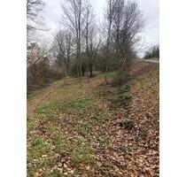 Grundstück Groß Umstadt - 500,00&nbsp;EUR Kaltmiete, ca.&nbsp; 0,00&nbsp;m&sup2; in Groß-Umstadt (PLZ: 64823)