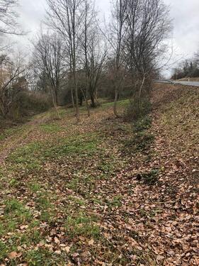 Foto - Grundst&uuml;ck zur Miete in Groß-Umstadt